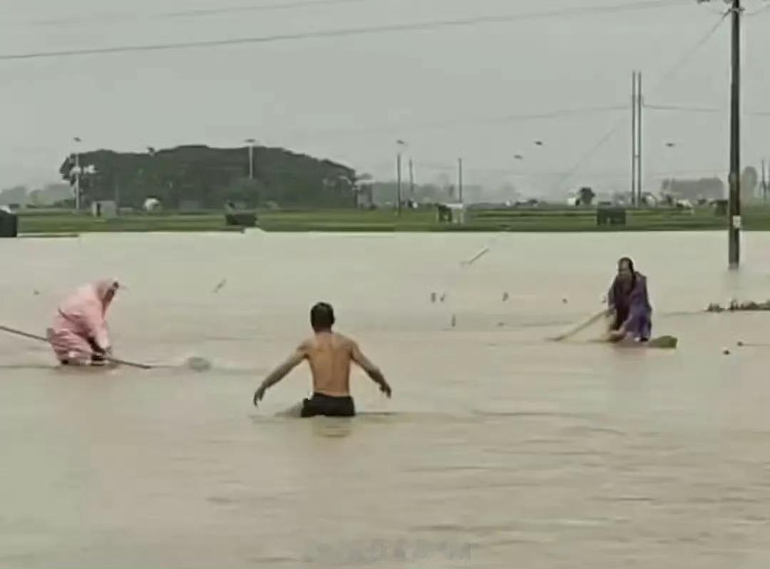 500亿元蛇产业谁能想到！一场大雨冲跑上千条蛇，直接曝光广西500亿隐形暴富产业