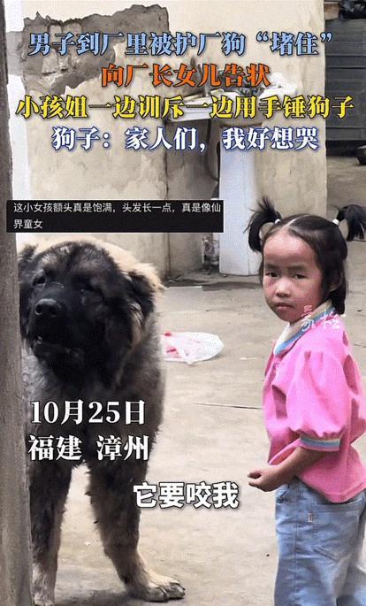 万物皆有灵性!福建,男子到朋友厂里,结果还没进门直接被厂狗“堵住”。还冲他大叫,