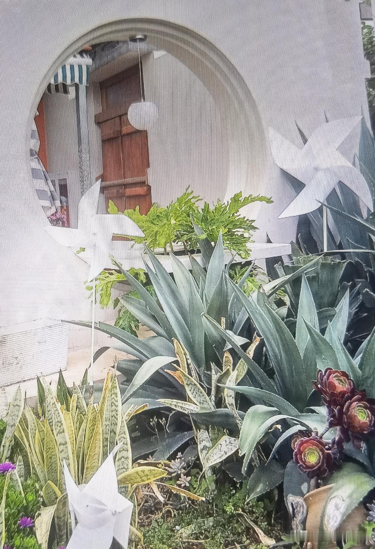 如果重回十八岁，我不想再留下太多遗憾。那时总懵懂莽撞，虚度不少时光，也怯于勇敢表