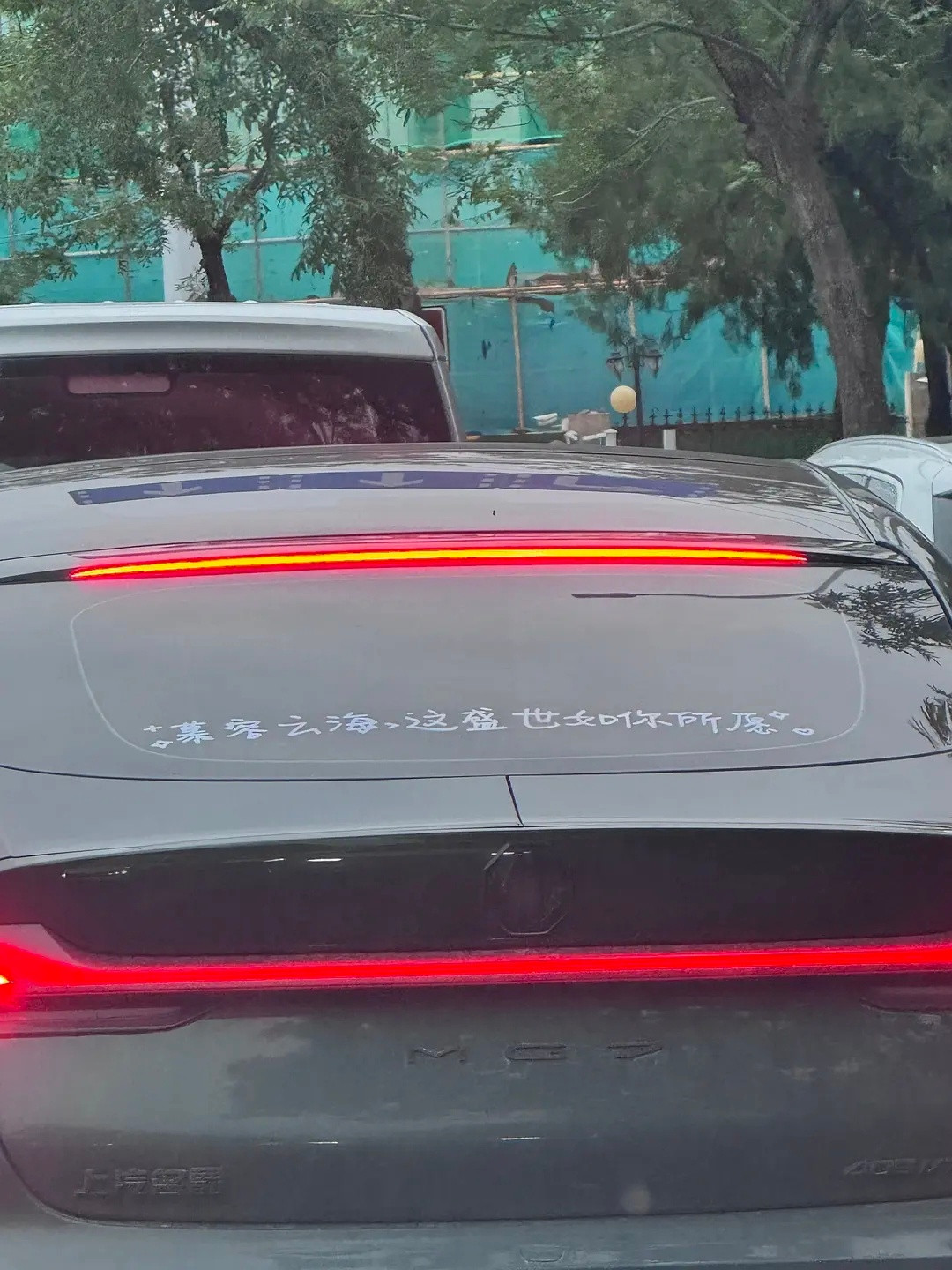 如果是我，我在车上贴：林则徐，我肺疼​​​