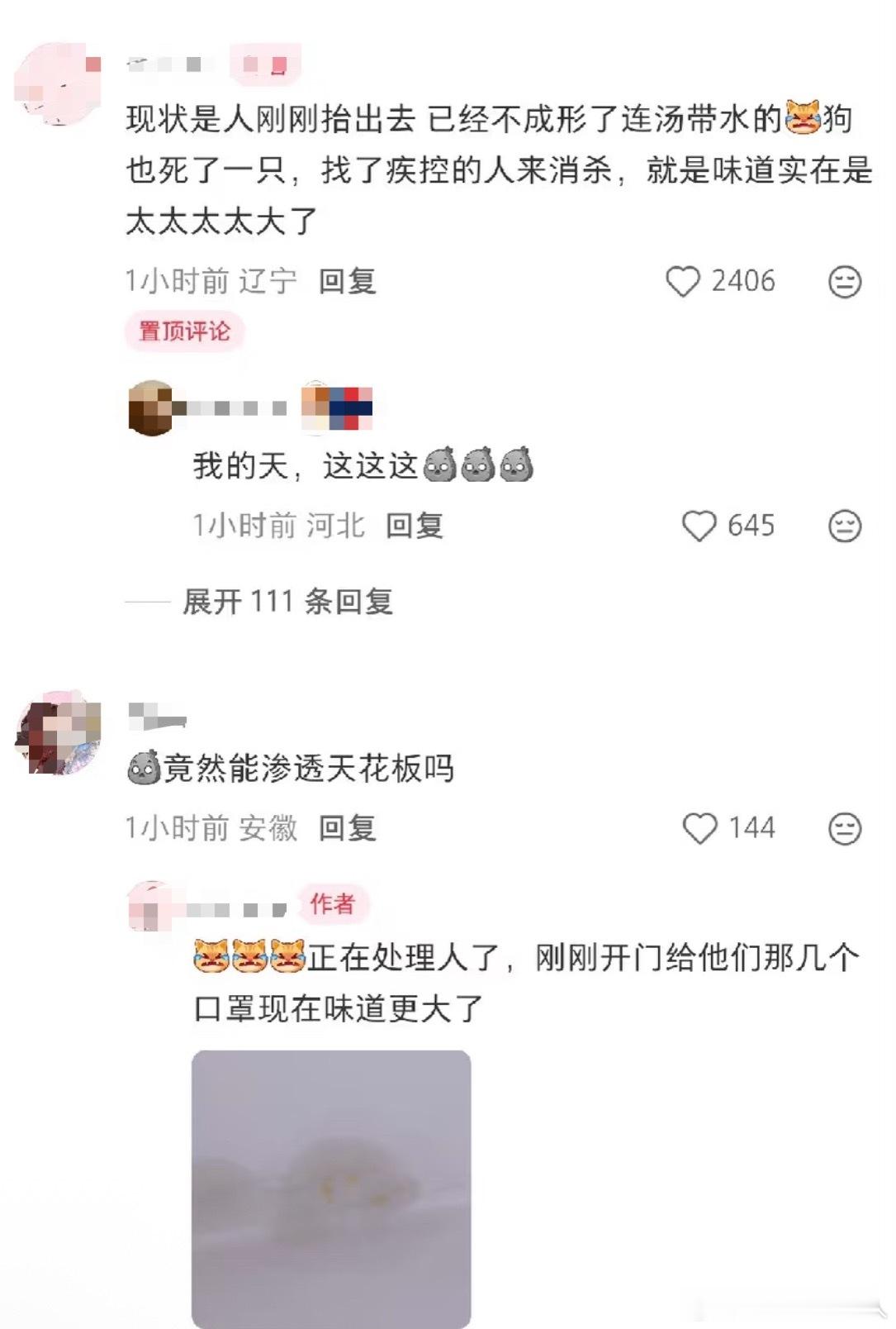 刷到这个想起几年前豆瓣好像有个类似的帖子，帖主在自己家地板发现一滴类似血水的东西