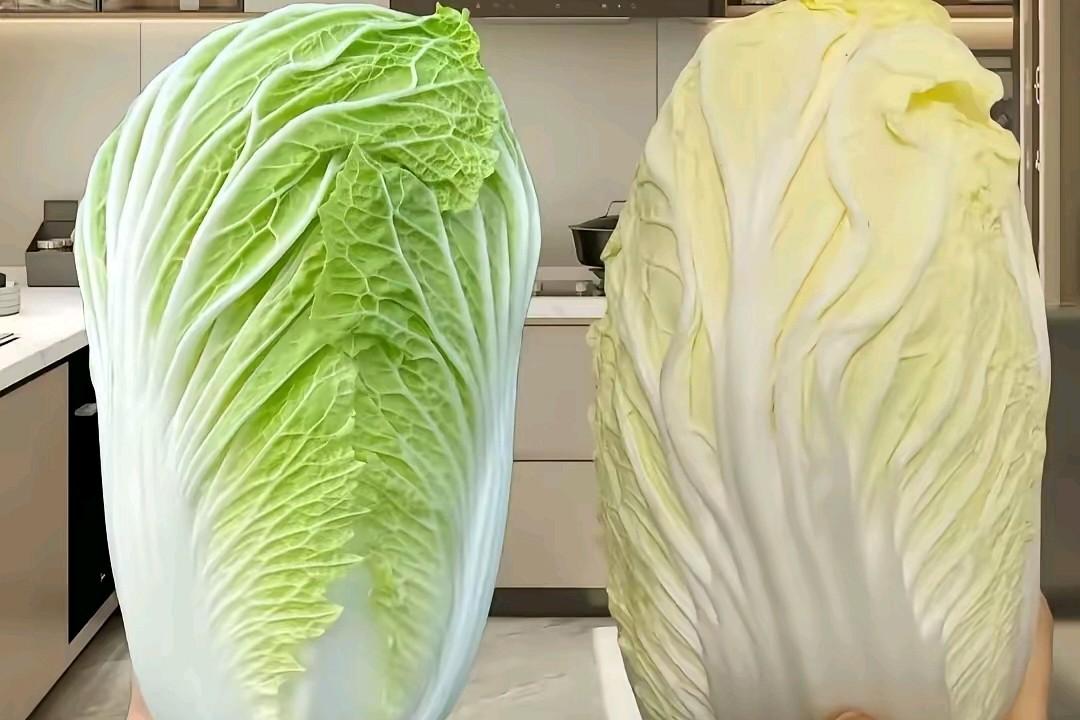 天气凉了，大白菜每家每户可是必不可少的，绿白菜黄白菜那个好吃南方不下大雪，随时