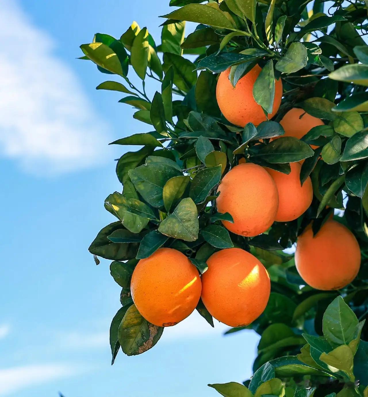 人生如行云流水，转瞬即逝，唯有心中的感恩之情才能长存不灭。曾几何时，我也曾像迷途