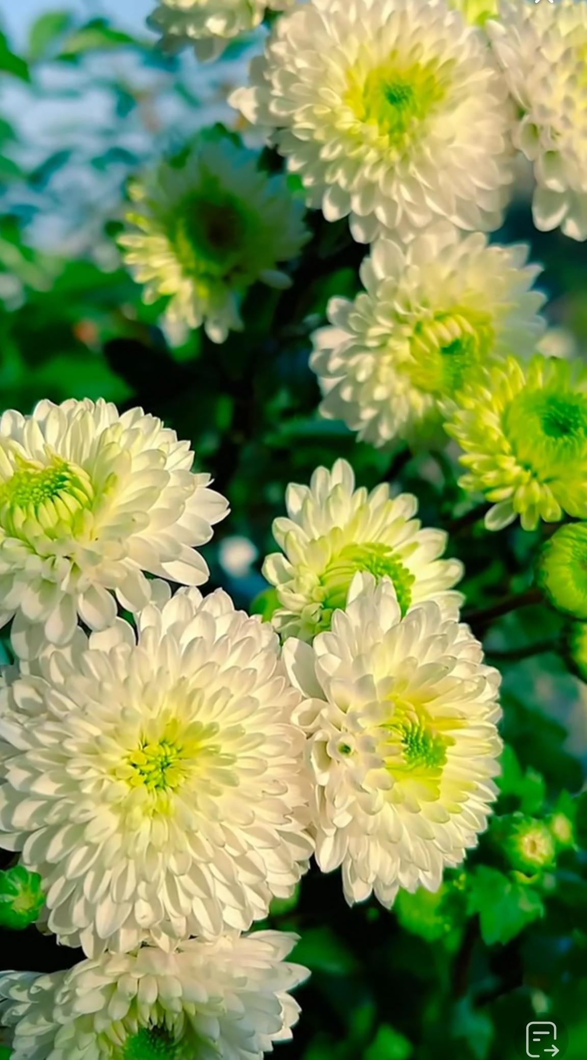 迎喜迎春迎富贵，诚邀下联下联：接财接福接平安。