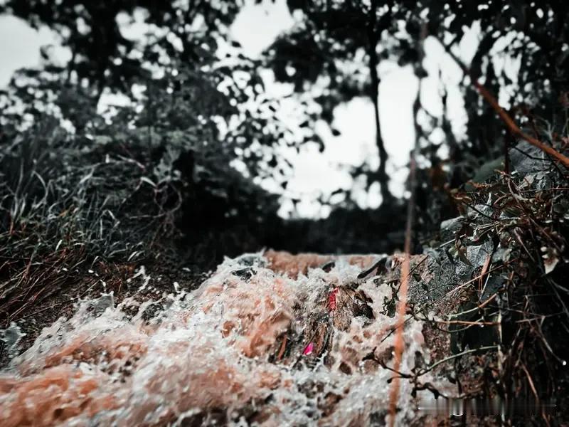 周末去热门露营地避暑，谁都没把局地降雨预警当回事，结果成了让人后怕的惨痛教训。这