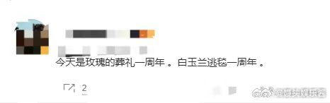 刘亦菲白玉兰出逃一周年这词条对刘亦菲恶意太大了吧