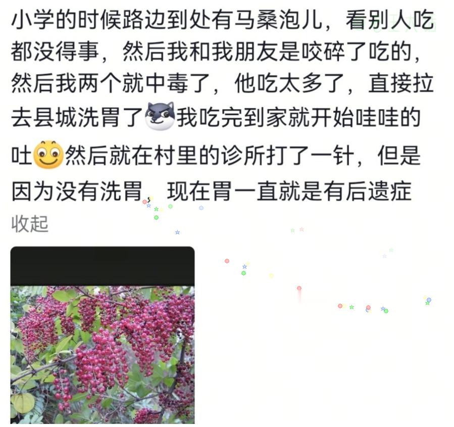 小时候对危险完全没概念，全靠“瞎玩+运气”才活下来。现在再看这些场景，每