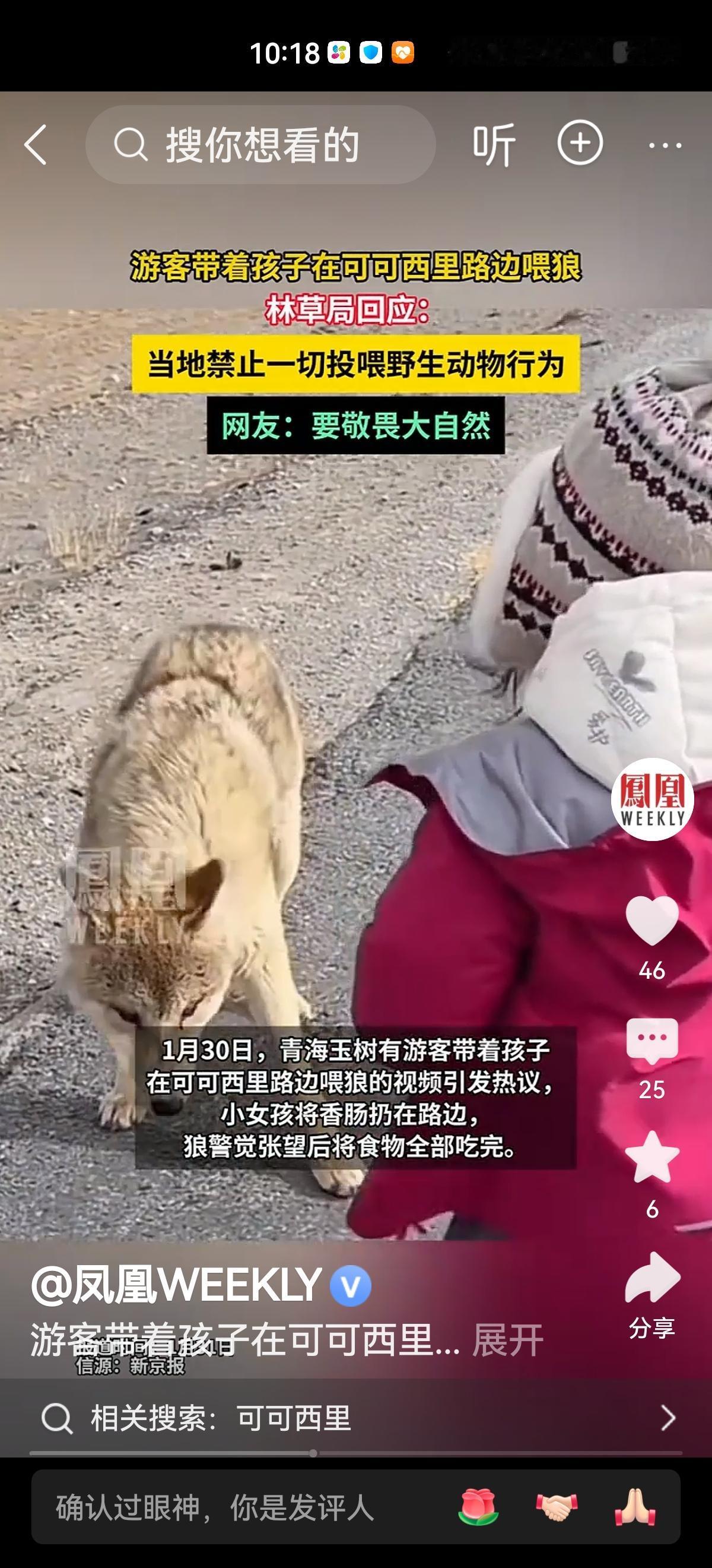 这个家长是不是心也太大了，居然在可可西里的路边，带6岁的孩子零距离投喂狼！这可是