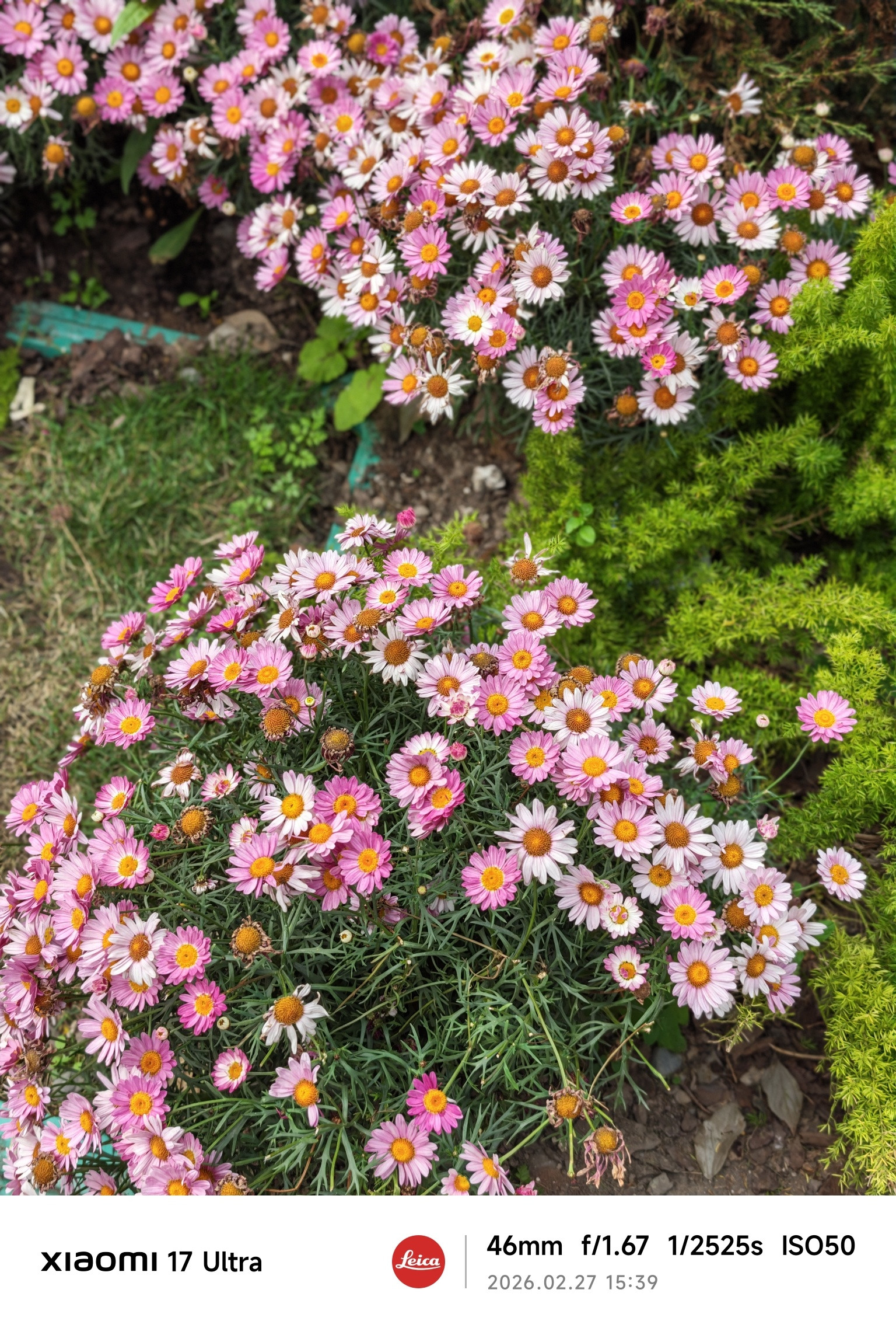 小米17Ultra对比GalaxyS26Ultra。