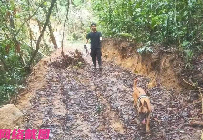 广东肇庆某名才十一岁男孩，家因居住山区旁，这日突然丢失而不见人影，引发家长惊慌报
