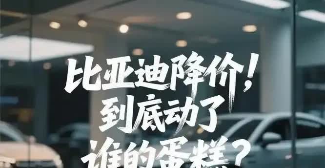 比亚迪突遭同行群殴，为何众车主坚决支持比亚迪？原因其实很现实：就这么说吧