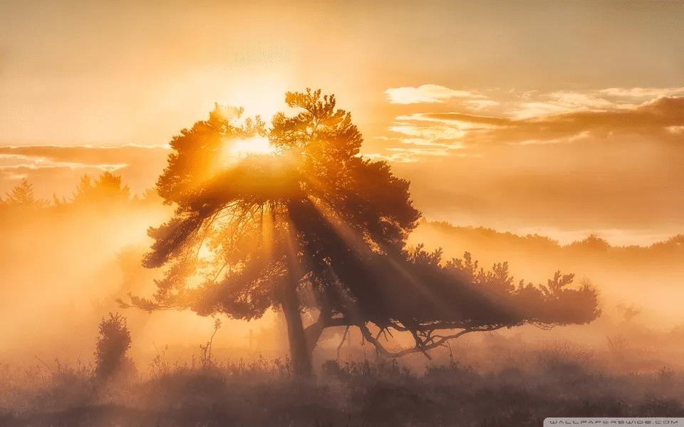 自爱生辉，岁月清朗“自爱生辉万事明”，这不仅是一句箴言，更是一种藏在烟火里的