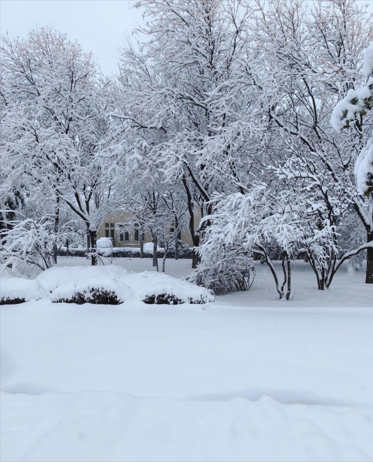 这次寒潮，重点已经不是降温了。气象台这次是真急了！冻雨预警形势愈发严峻，一小