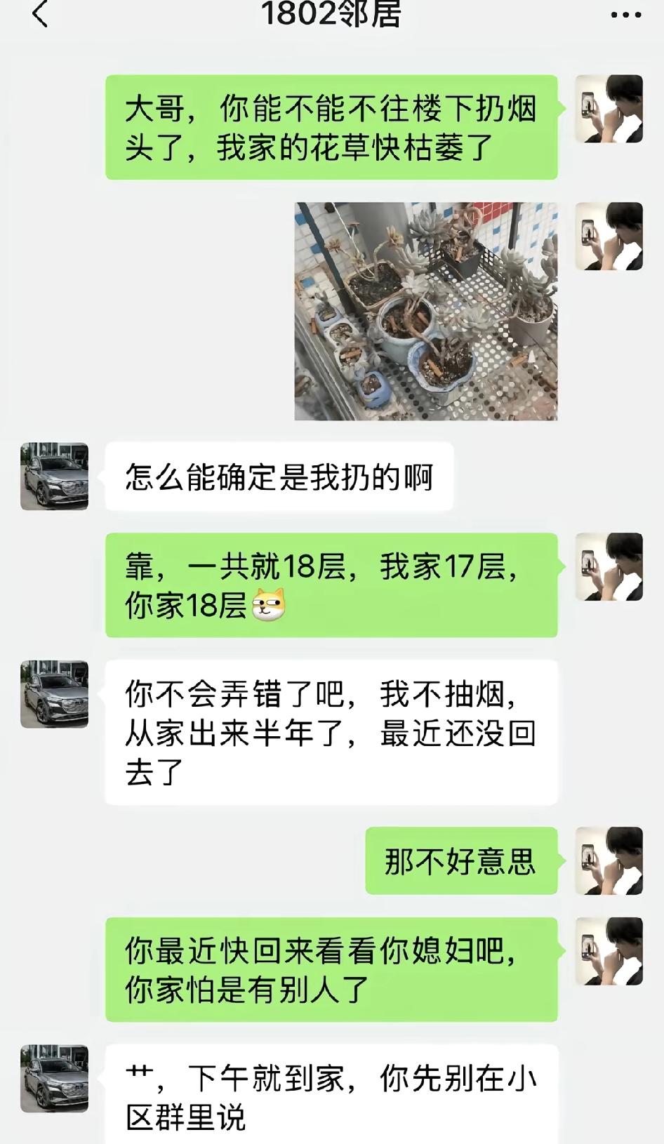 绿油油的！这是个悲伤的故事…不用找帽子叔叔了，楼下邻居给破案了。怪不得枯萎了，