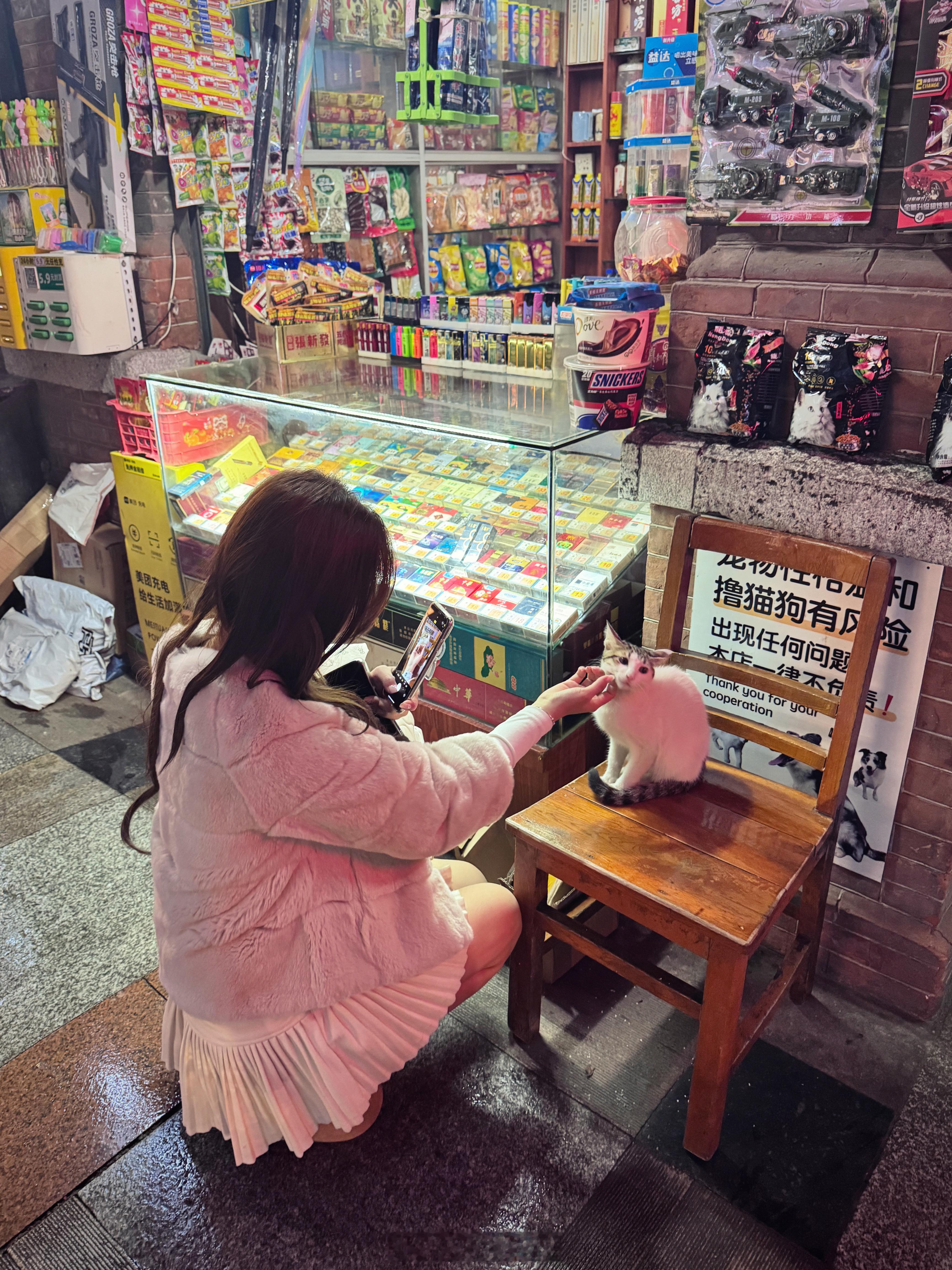 所有咪都要好好的​​​