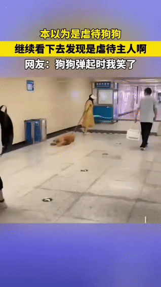 一开始看到画面，还以为是有人在虐待狗狗，心里瞬间就气愤起来，想着怎么能这样对毛孩