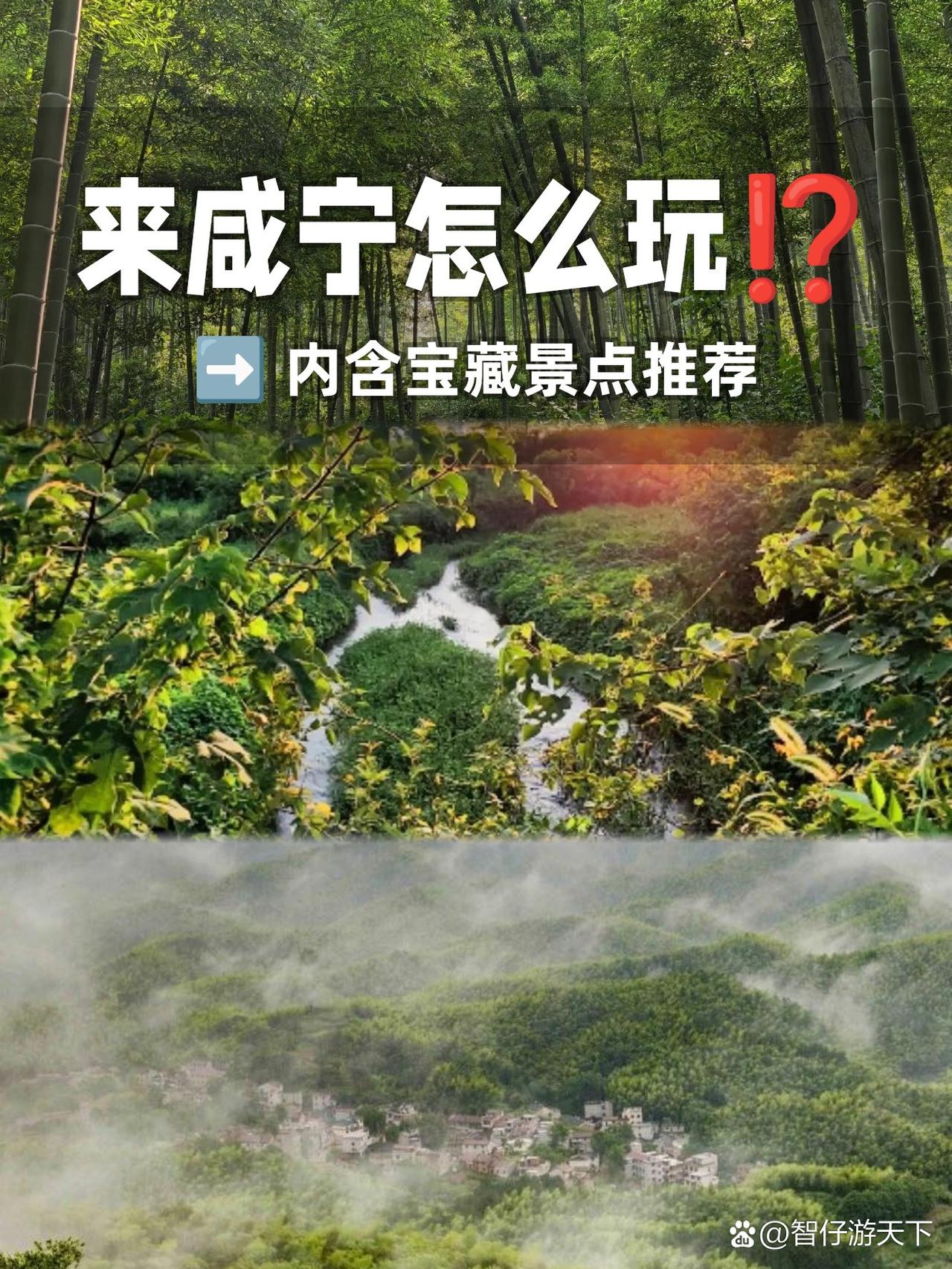 🌿穿越绿野仙踪！星星竹海保姆级攻略被问爆的夏日避暑天花板！在咸宁星星竹海徒