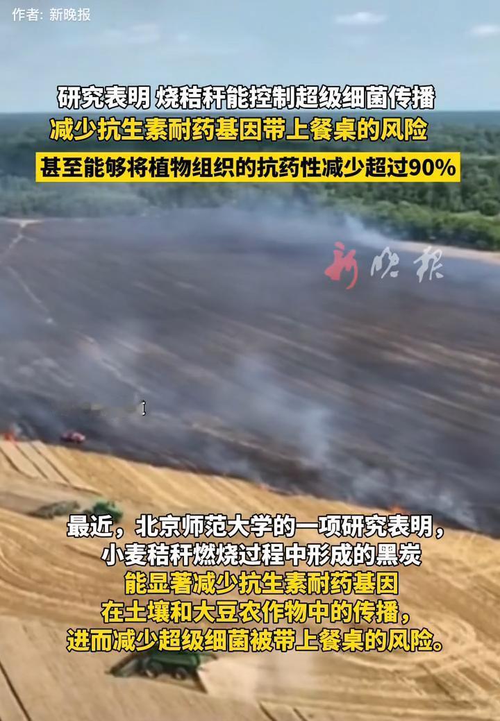 专家这次终于说了句大实话？以前总说烧秸秆污染空气，甚至还要罚款，结果北师大最新