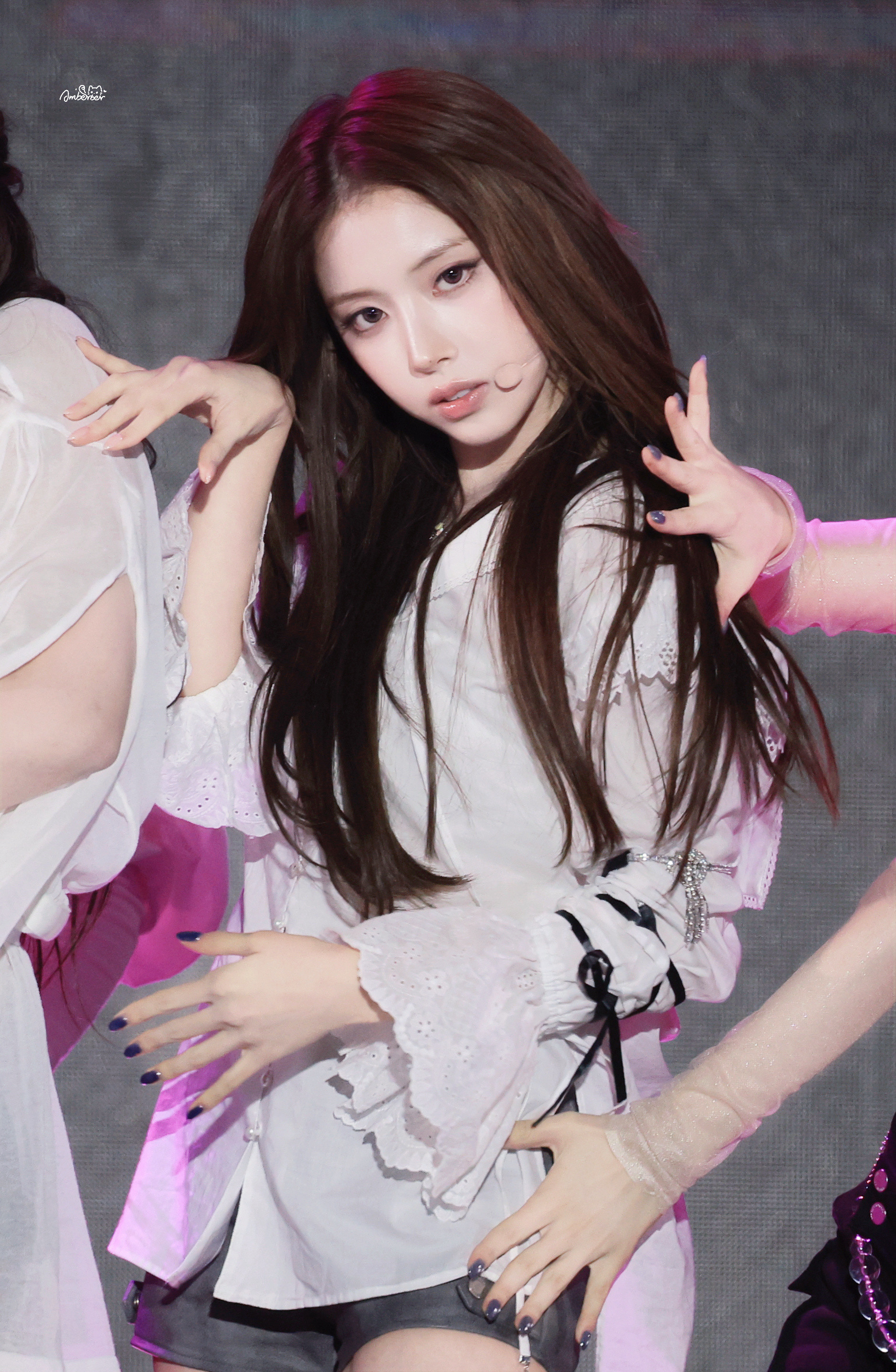 金智羽品相超级完美羽毛流光溢彩的山雀…🦜​​​