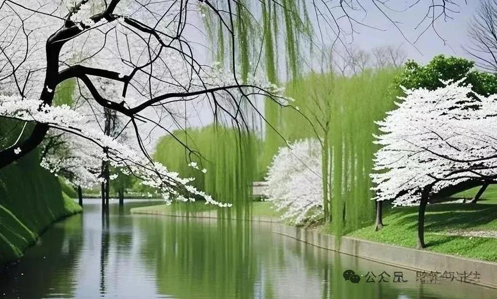 在单位里，永远要记住:1，越能干，越要低调2，功劳抢不过，姿态要拿够3，别