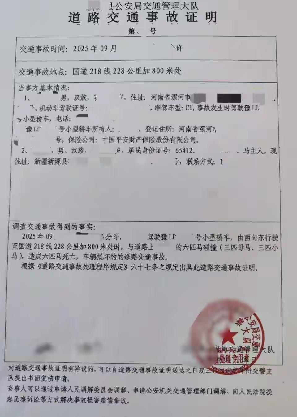 一下撞死六匹马，那速度得有多快，进入牧区还开那么快，还用辅助驾驶。人没事就万幸了