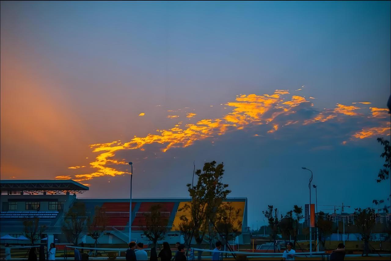 普通大学vs985｜别自欺欺人了，差距根本不在成绩先扎心一句：普通大学和985