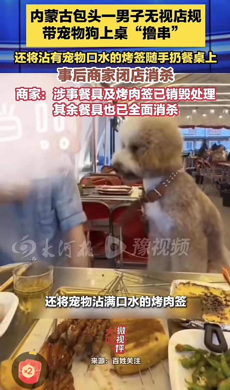 爱狗先爱己，只有知道狗和人不是同一种类型的东西。才配养狗，不然再好的狗，也会被路