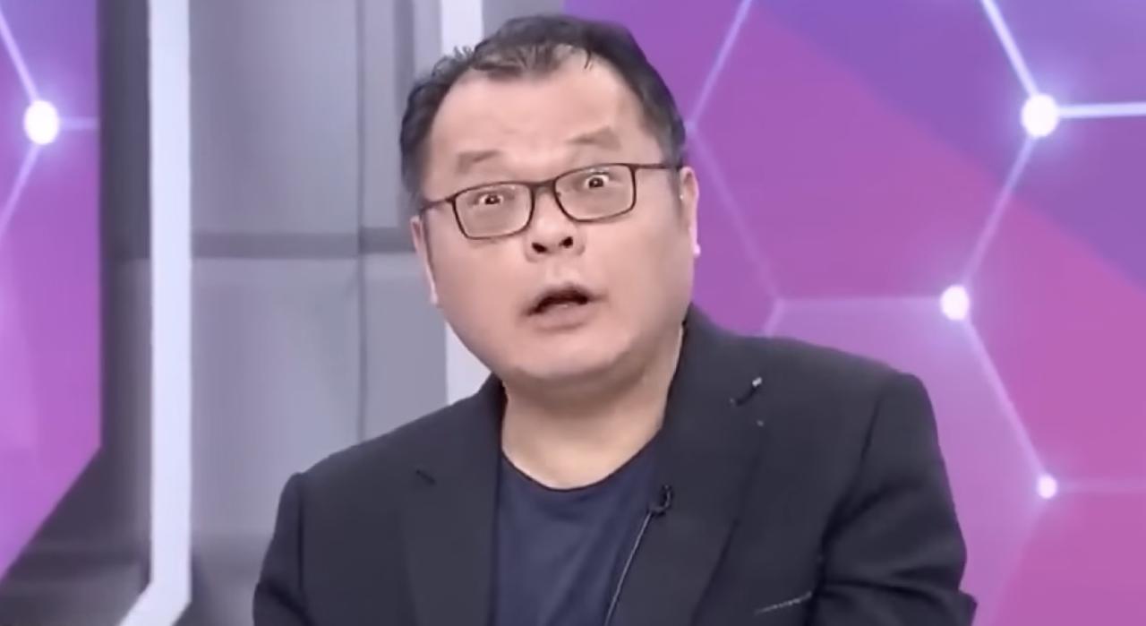 陈挥文：大陆网友不太成熟，太浅碟了！近日，某绿媒嘉宾在节目上大放厥词，说“北