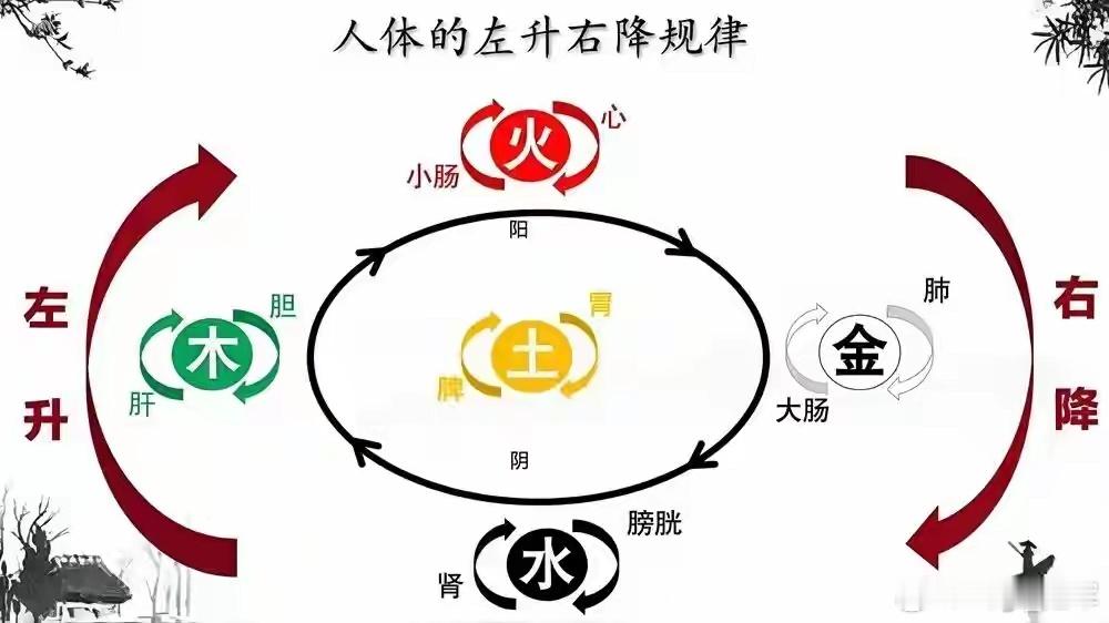 西安名医麻瑞亭介绍麻瑞亭（1903-1997）是中国近代著名中医学家，是“黄元御