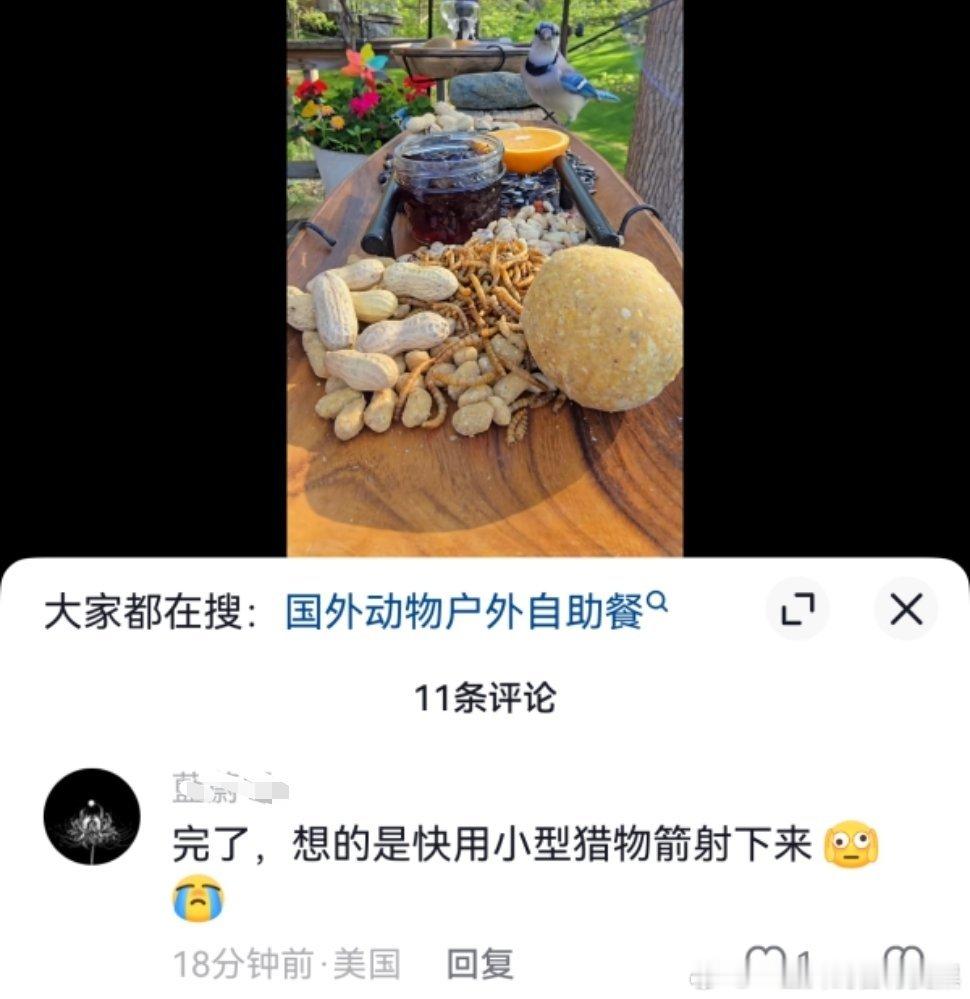 只是在喂鸟评论区的bro就要杀鸟藏不住