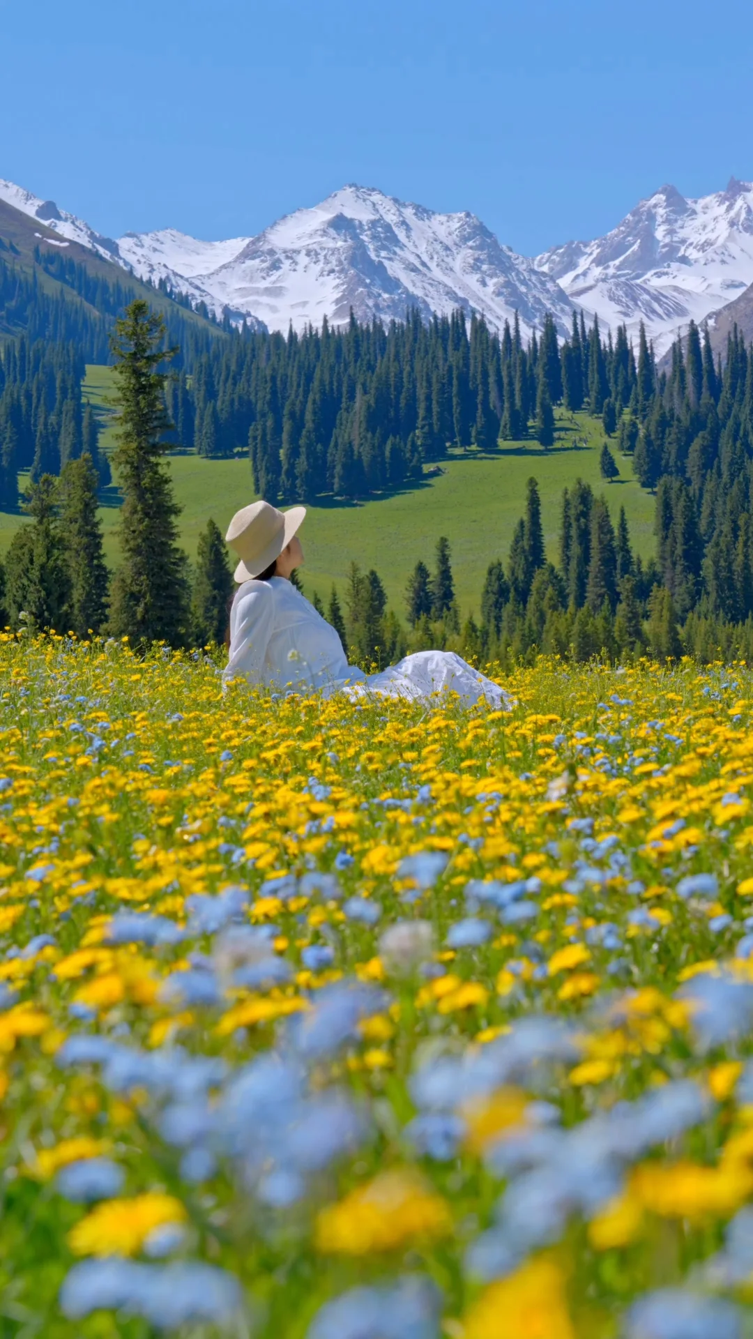 live图，总是反反复复回忆起2025的夏天