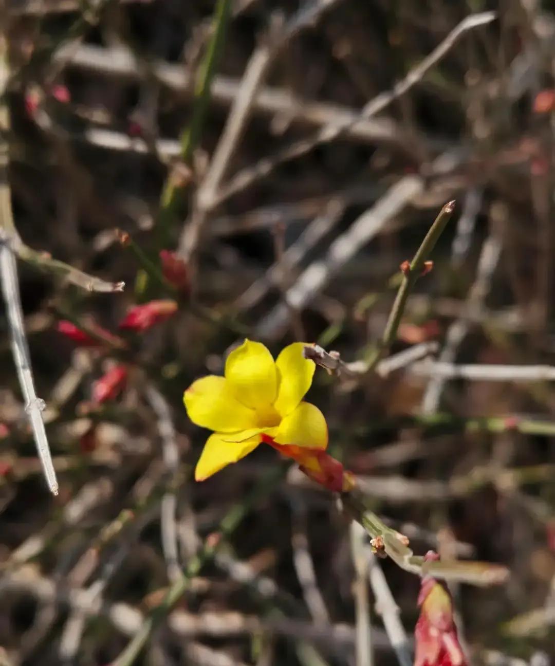 四姨在年夜饭桌上宣布和儿子断绝关系，因为看不惯儿媳两年。她把儿子一家微信全删