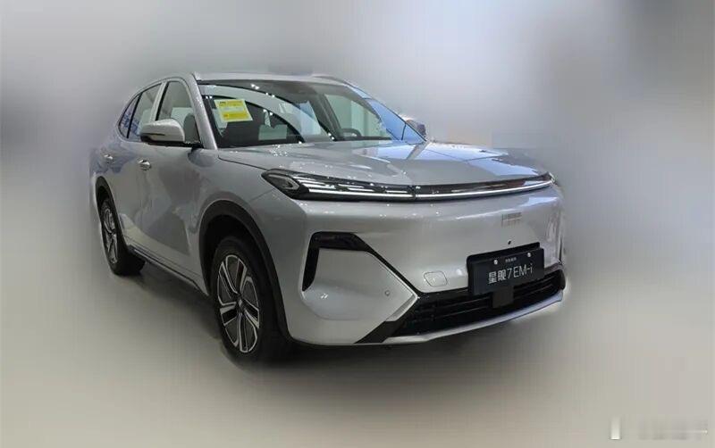 吉利星舰7销售反馈：1，客户群体以23-35岁男性为主，占比超过90%，职业多为