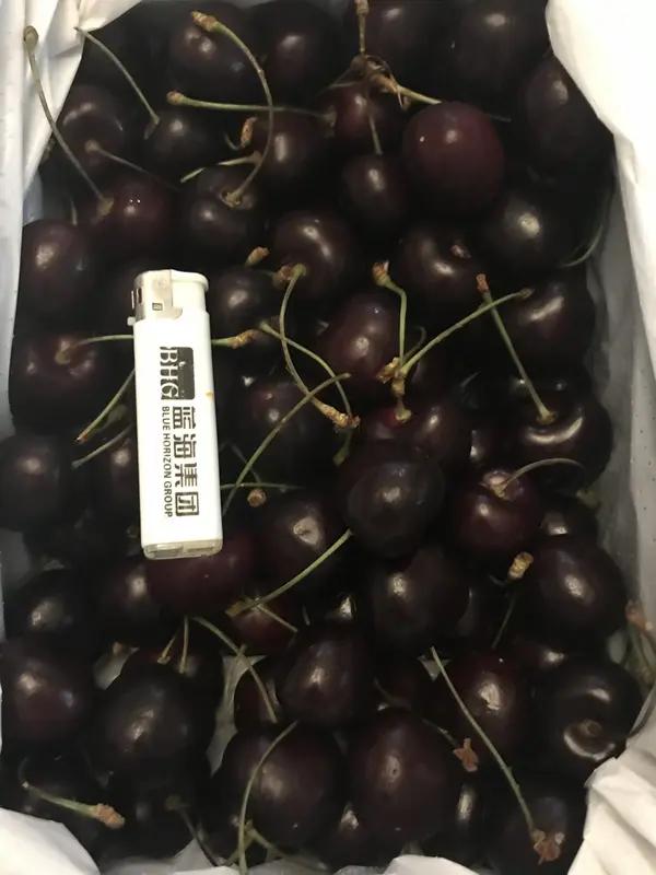 网购4J车厘子收到空文件！37人集体被骗，商家跑路套路太狠，维权这样做“满