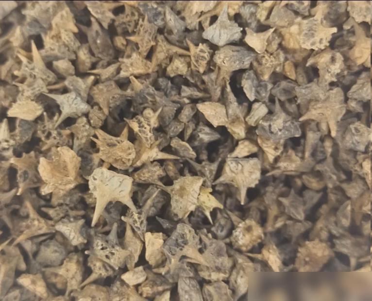 说出来不怕笑话，我前两年跑长途熬出来那方面毛病的时候，砸在补肾壮阳货上的钱少说大