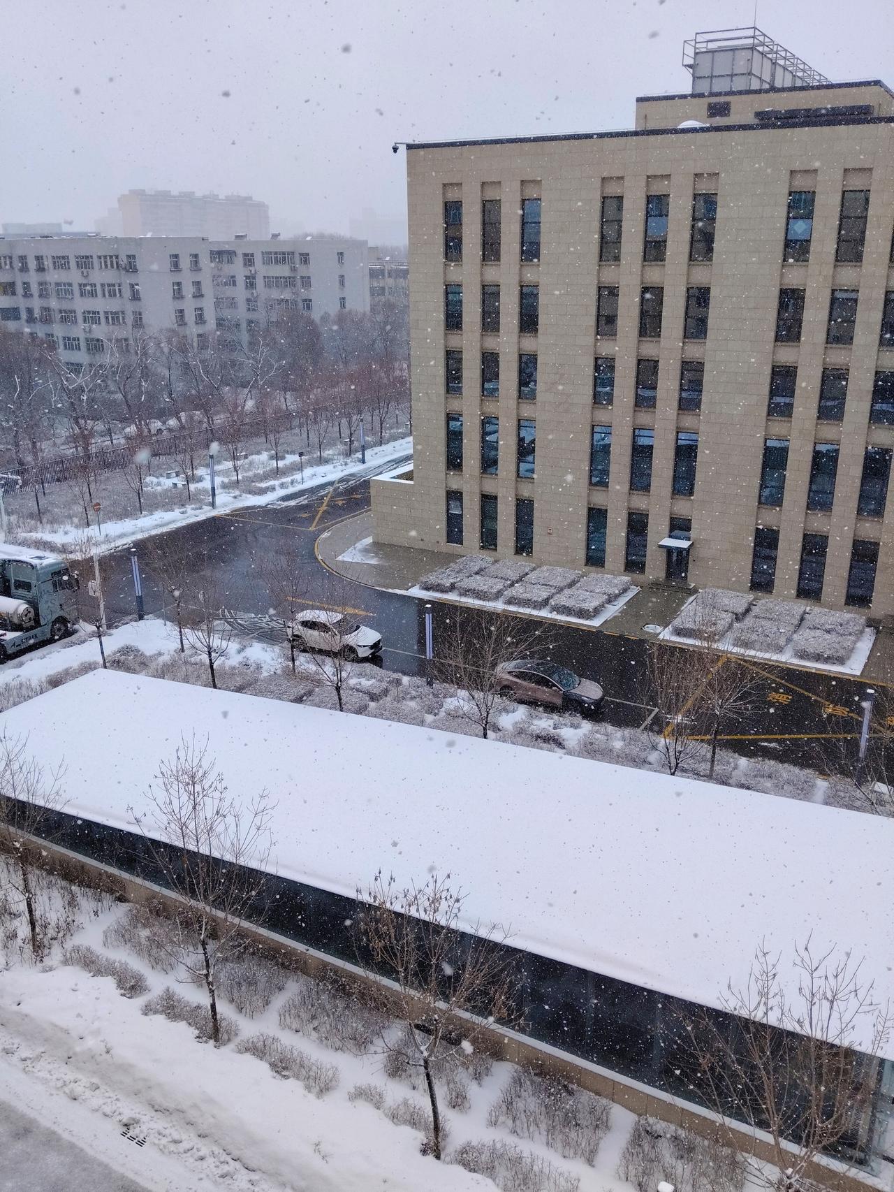 3月的乌鲁木齐，大雪纷飞像极了冬天！❄️3月10日的乌鲁木齐还带着些许暖意，谁能