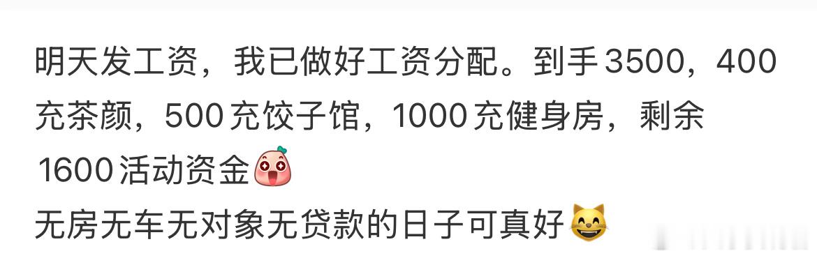工资还没发已经分配好了
