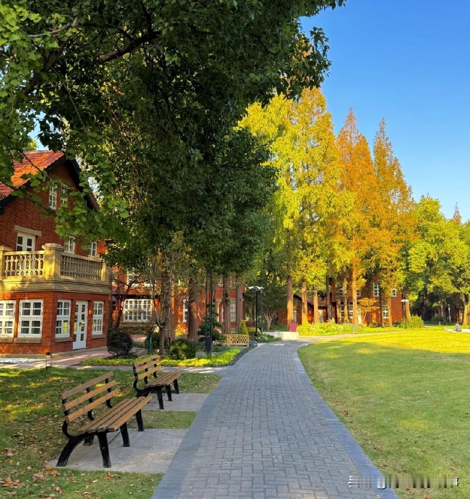 高中拼的是勤奋，大学拼的是什么？很多人毕业后才明白如果你问一个高中生，怎么才