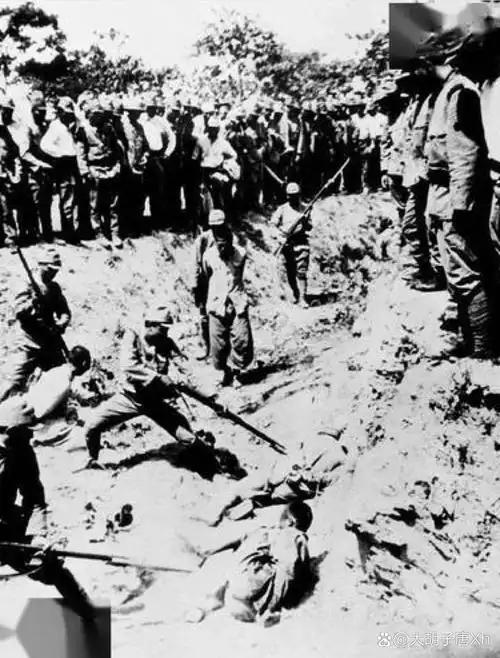 很多人问，为什么在南京大屠杀期间大家没有反抗，任凭日军屠杀？大家可能不了解，日本
