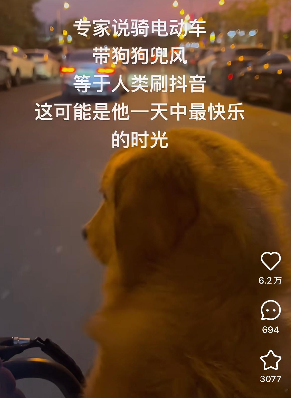 人也喜欢兜风。​​​