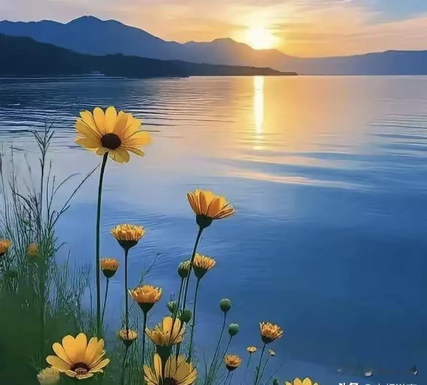 一个家庭最大的悲哀，不是没钱，是五六十岁的父母“吃力不讨好”小区里的张阿姨