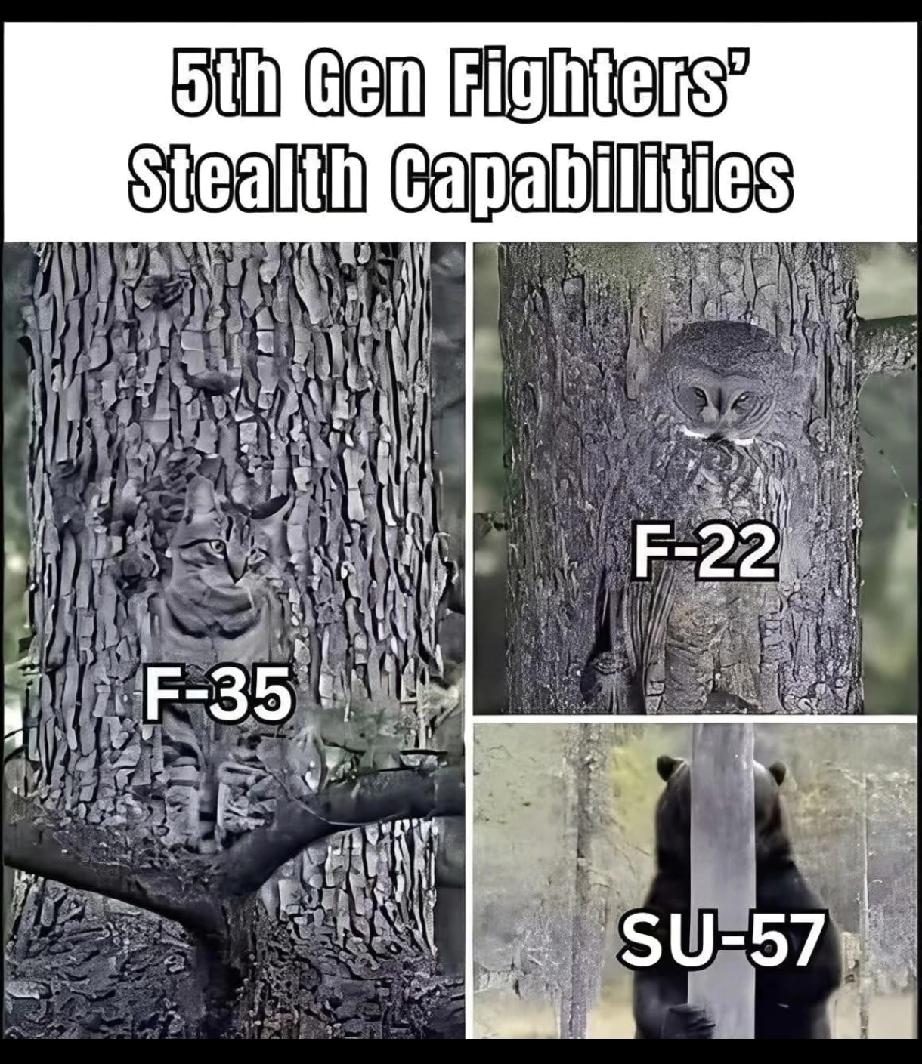F-35🆚F-22🆚Su-57隐身效果对比[赞]