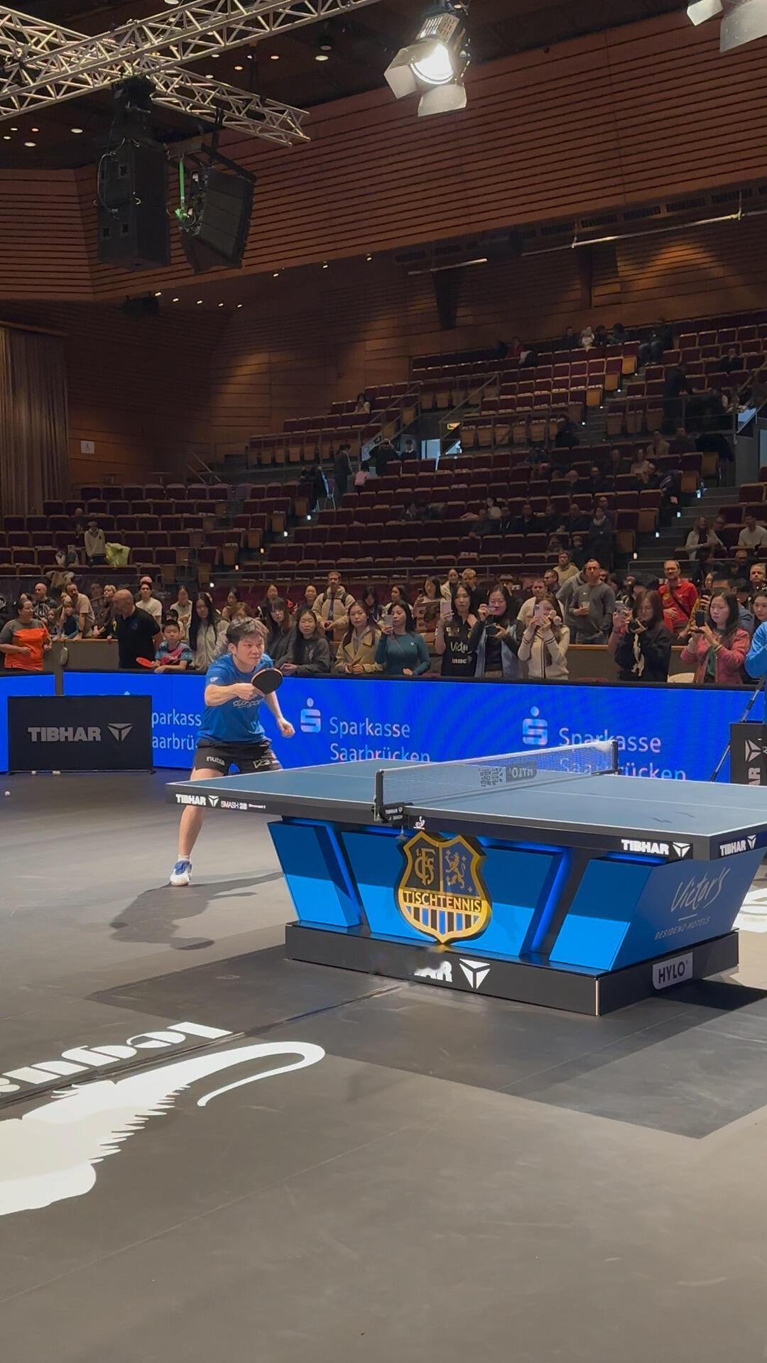 樊振东训练打球时候，太有劲头了，带样！现场居然是海阔天空，太宠爱了，真的是熊猫