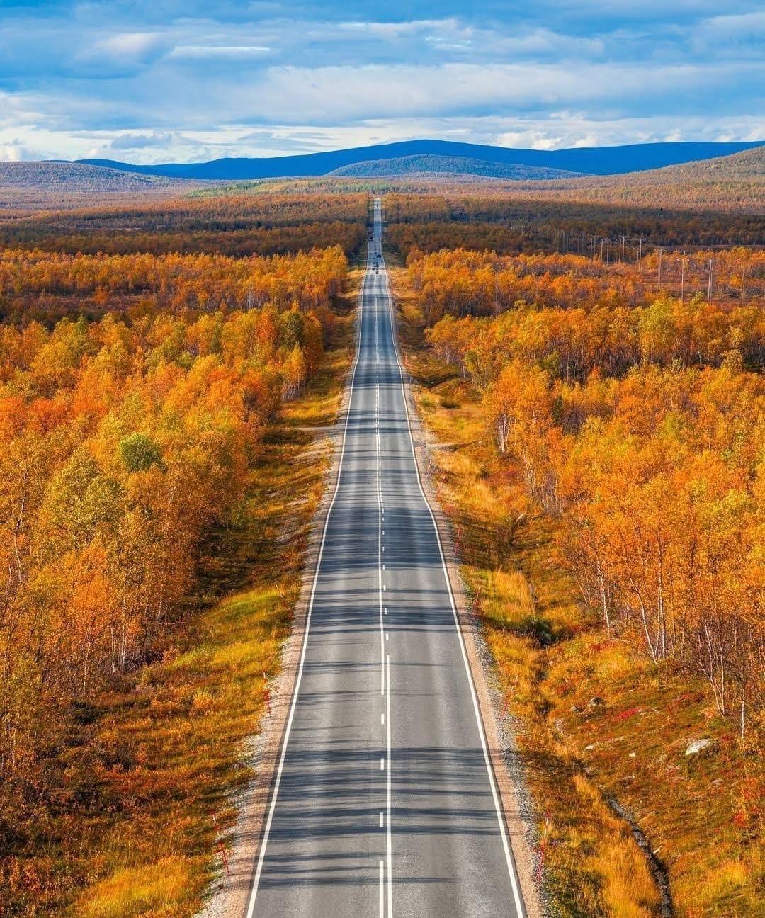 芬兰的这条最长的公路位于拉普兰地区。要穿过一大片森林。芬兰本来人就少，再加上这里