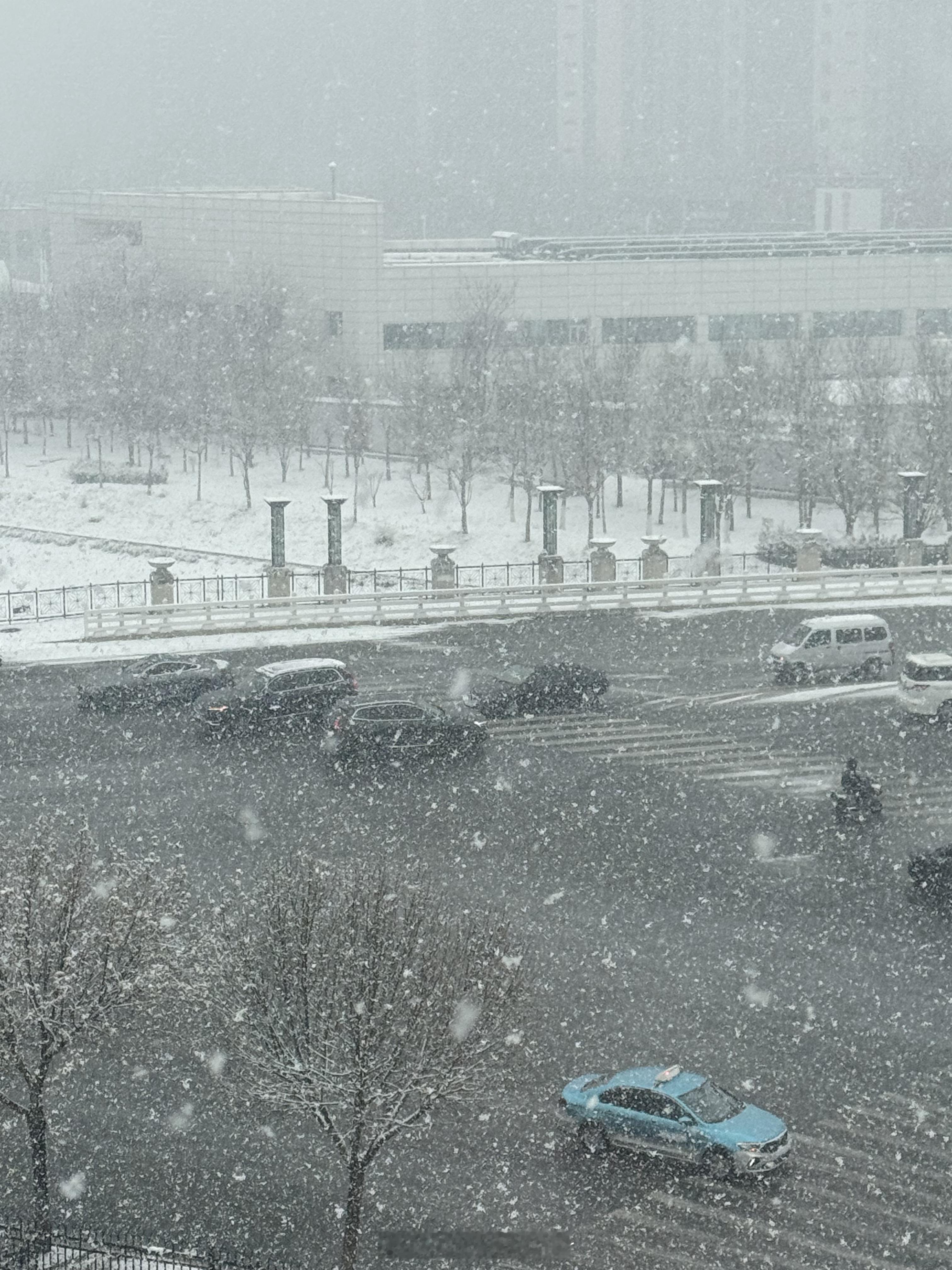 北京下雪说个可笑的事，作为北方人，今年只在朋友圈见到了雪[捂脸哭]倒也不是说没下，