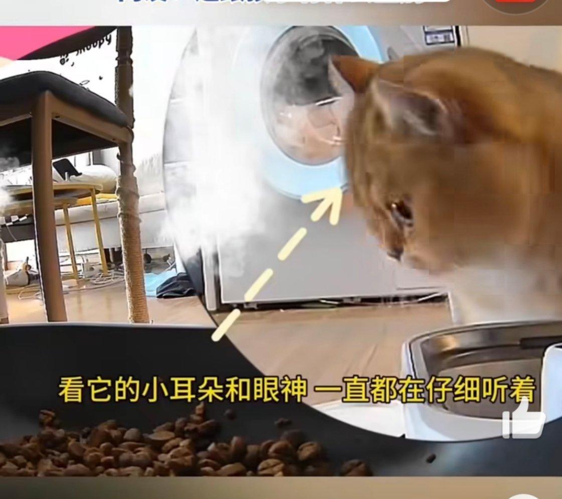 真的有在听主人说话