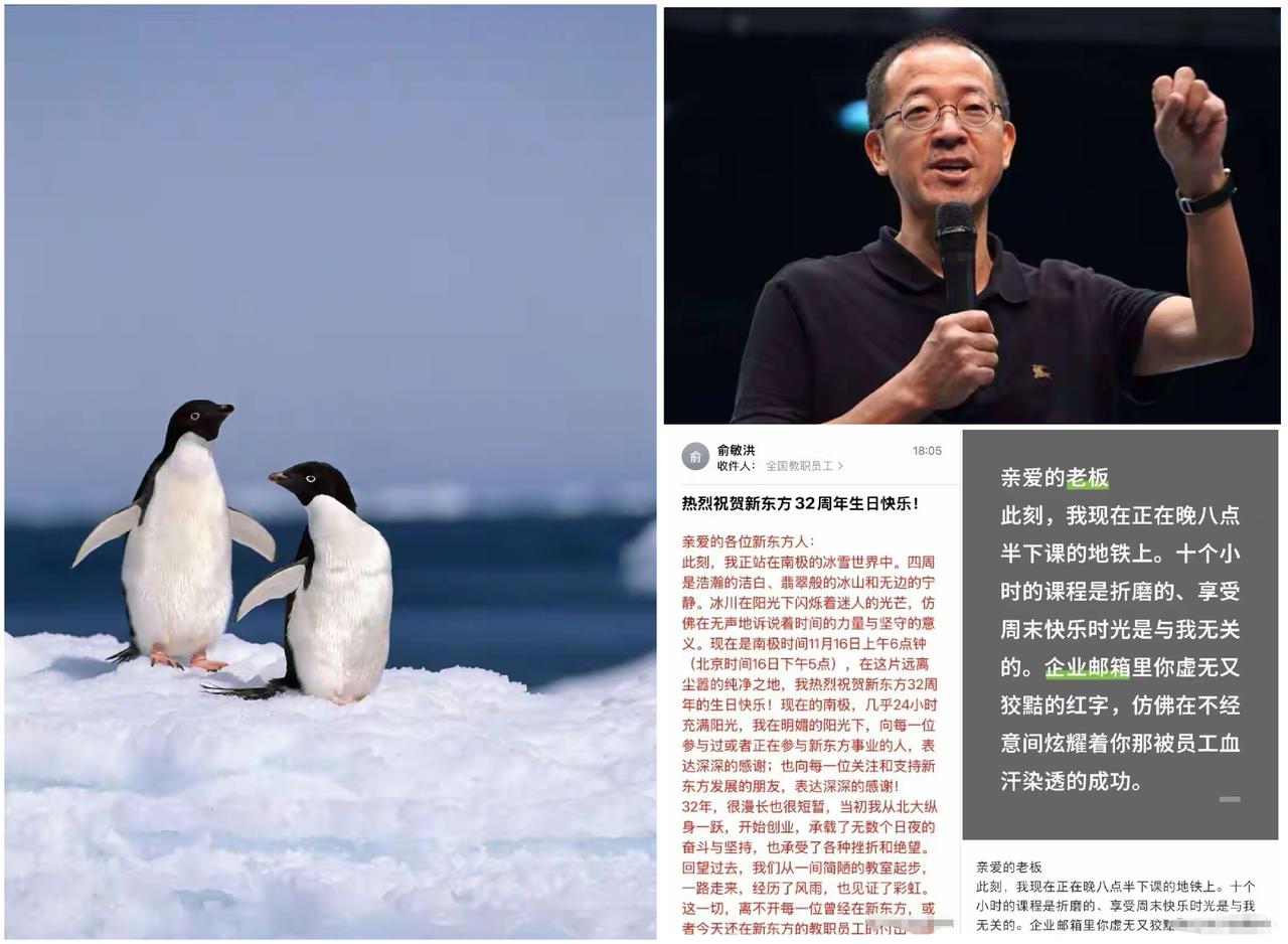 “对不起，老板，你的南极风光我只觉得讽刺！”新东方员工怒怼俞敏洪全员信：打工人