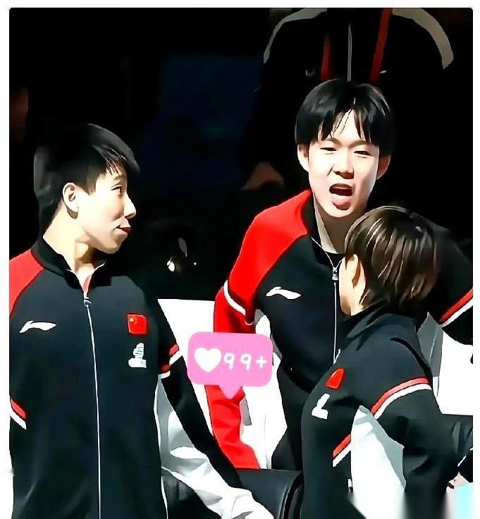 完了，这下全国人民都知道了。王楚钦，你那个最大的秘密，藏不住了。你根本就不是