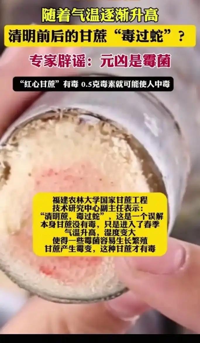 清明蔗，毒过蛇？别不当回事！专家紧急提醒：这几种甘蔗，一口都别吃！清明一到，