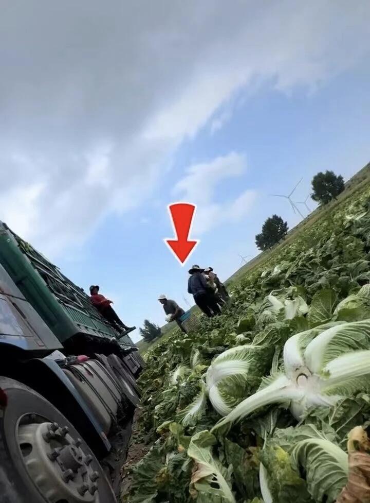 再次呼吁国家修改刑法，触犯食品安全可判死刑。河北甲醛白菜让很多人的三观碎了，因